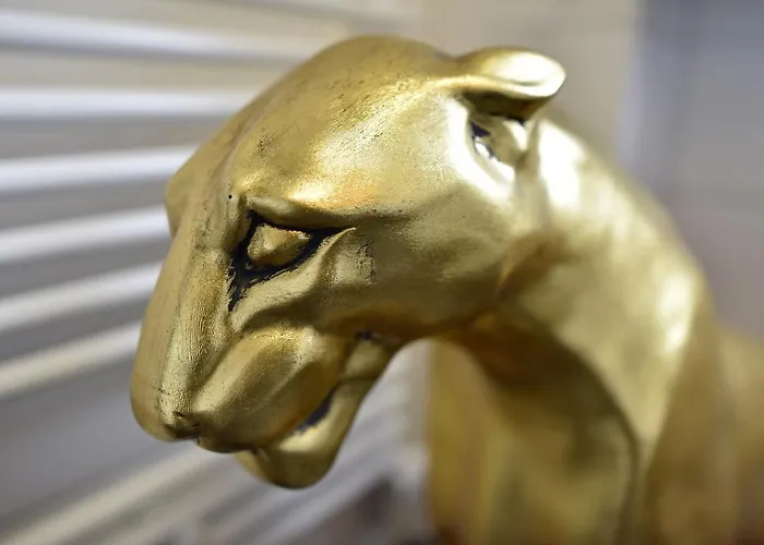 バナナス ベルリン ゲイ ゲストハウス ゲストハウス *