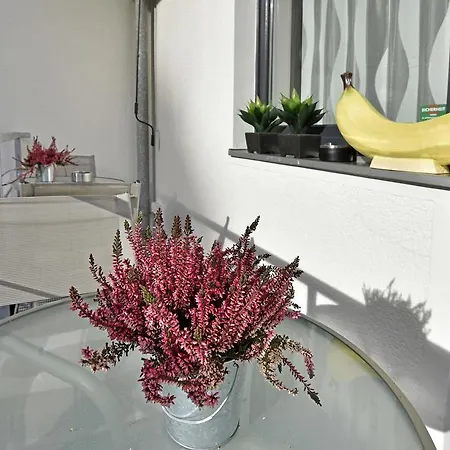 Bananas Hotel And Guesthouse Berlin ברלין