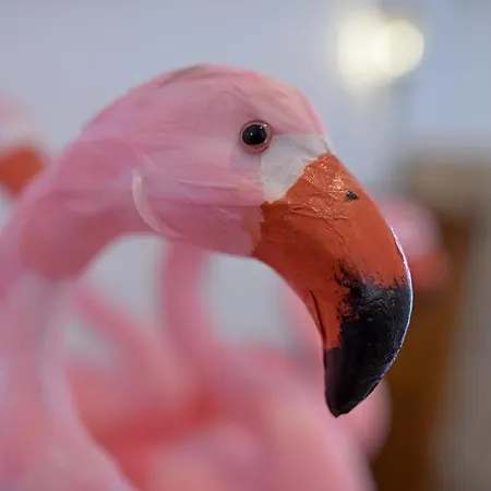 Vendégház Bananas Hotel And Guesthouse Berlin *