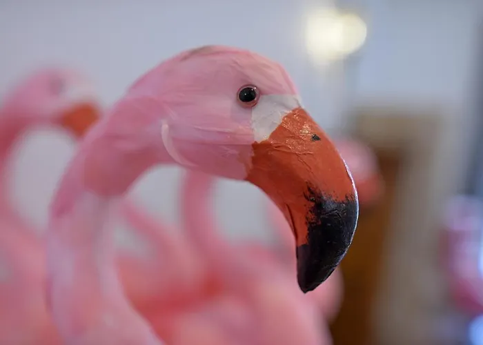 Vendégház Bananas Hotel And Guesthouse Berlin *